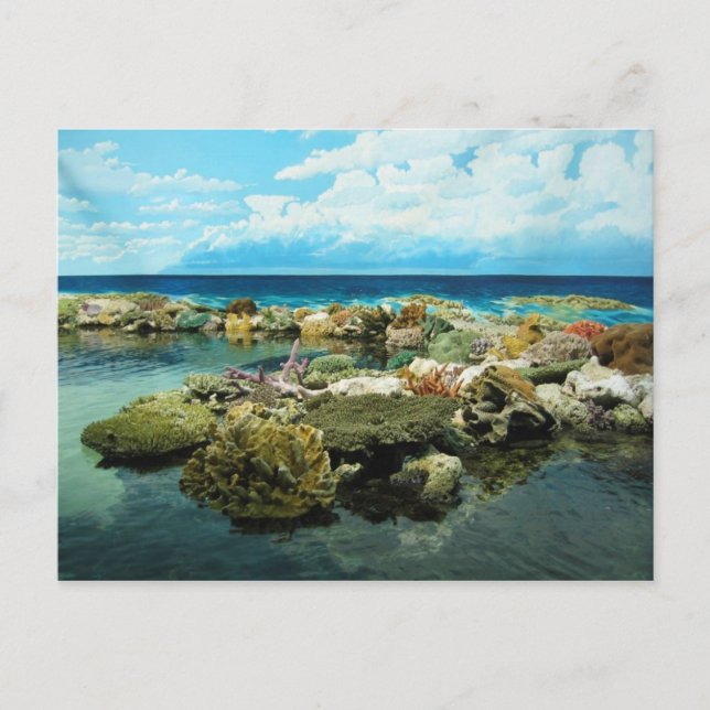 Sydney Underbar Barrier Reef Vykort (Framsida)