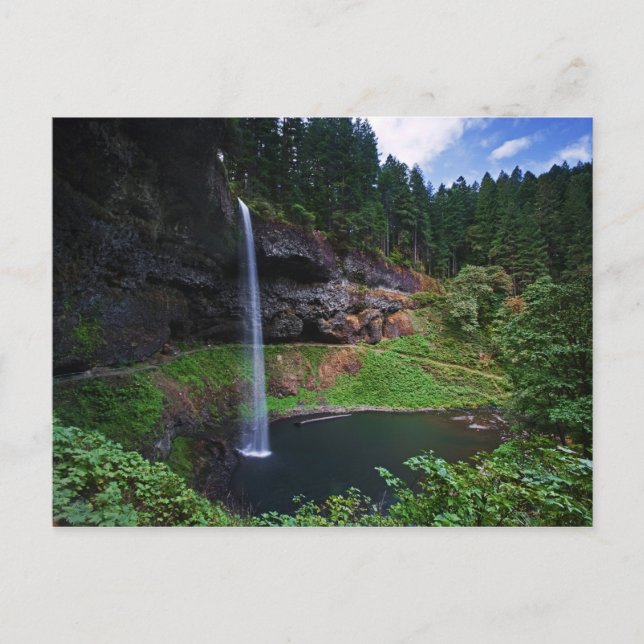 Sydocentra i Silver Falls State Park Vykort (Framsida)