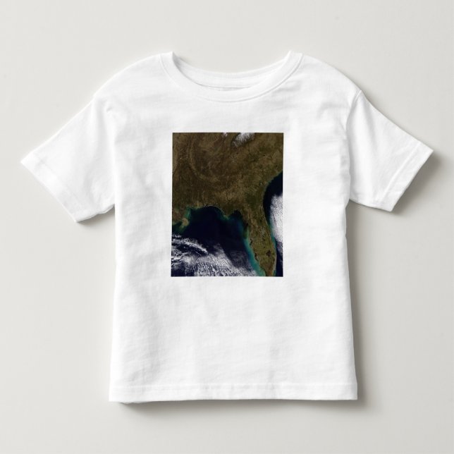 Sydöstra Förenade Stater Tee (Framsida)
