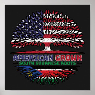 Sydsudan Sydsudanesiska amerikanska amerikanska am Poster