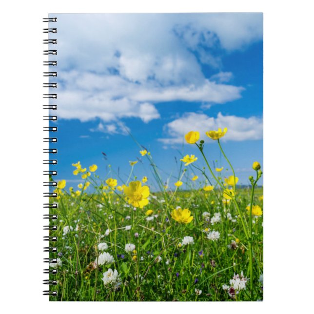 Syduistiska ön | Skottland Anteckningsbok (Framsidan)