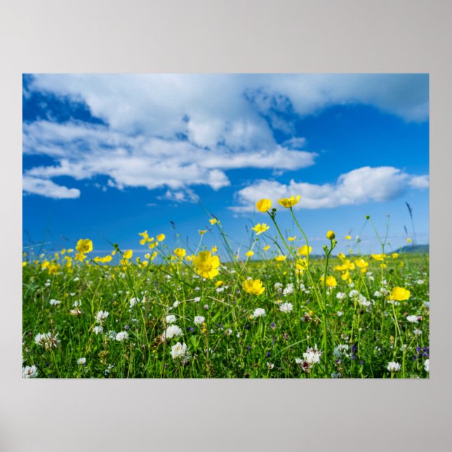 Syduistiska ön | Skottland Poster (Framsidan)