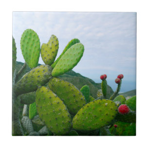 Sydväst Cactus Prickly Pear Sukkulent Öken Kakelplatta