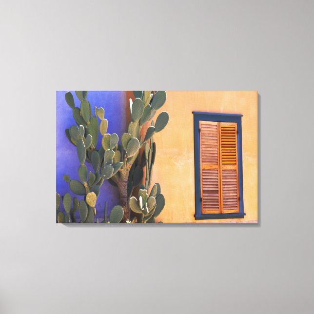 Sydvästlig kaktus (Opuntia dejecta) och Canvastryck (Framsida)