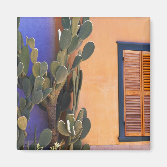 Sydvästlig kaktus (Opuntia dejecta) och Magnet (Framsidan)