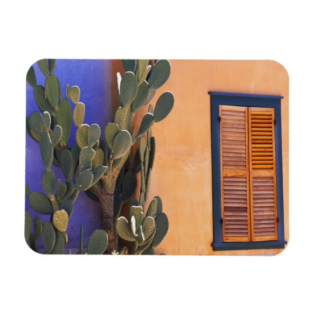 Sydvästlig kaktus (Opuntia dejecta) och Magnet (Horisontell)