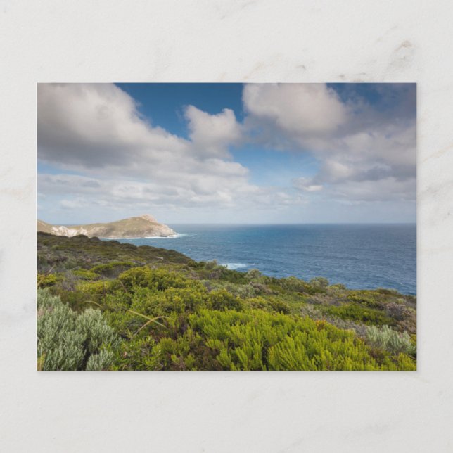 Sydvästra Australien, Albany Vykort (Framsida)