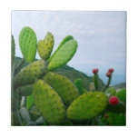 Sydvästra Cactus prickly Pear Succulent Desert Kakelplatta<br><div class="desc">Den här designen har skapats med digitalteknik. Det kan vara personlig genom att klicka på anpassningsknappen och ändra färg, lägga till namn, initialer eller ord. Kontakta mig på colorflowcreations@gmail.com om du vill ha denna design på en annan produkt. Köp min ursprungliga abstrakt-akrylmålning för försäljning på www.etsy.com/shop/colorflowart. Visa fler av mina...</div>