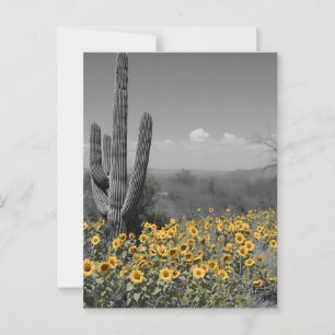 Sydvästra Desert Saguaro Cactus och solblommor Vykort