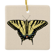 Sydvästra Gulten Swallowtail Butterfly