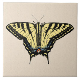 Sydvästra Gulten Swallowtail Butterfly Kakelplatta