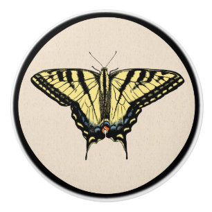 Sydvästra Gulten Swallowtail Butterfly Knopp