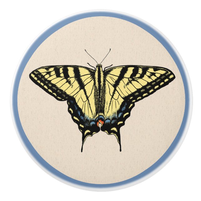 Sydvästra Gulten Swallowtail Butterfly Knopp (Framsidan)