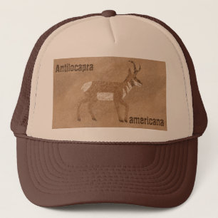 Sydvästra Pronghorn Antelope Keps