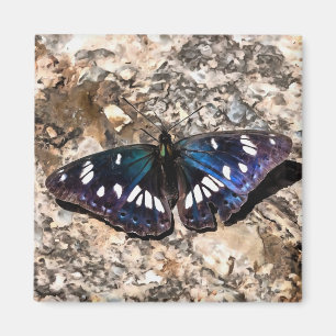 Sydvit amiral Blue Butterfly Painting Magnet