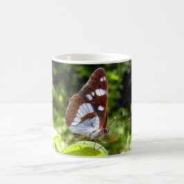 Sydvit amiral Butterfly Kryp Mugg