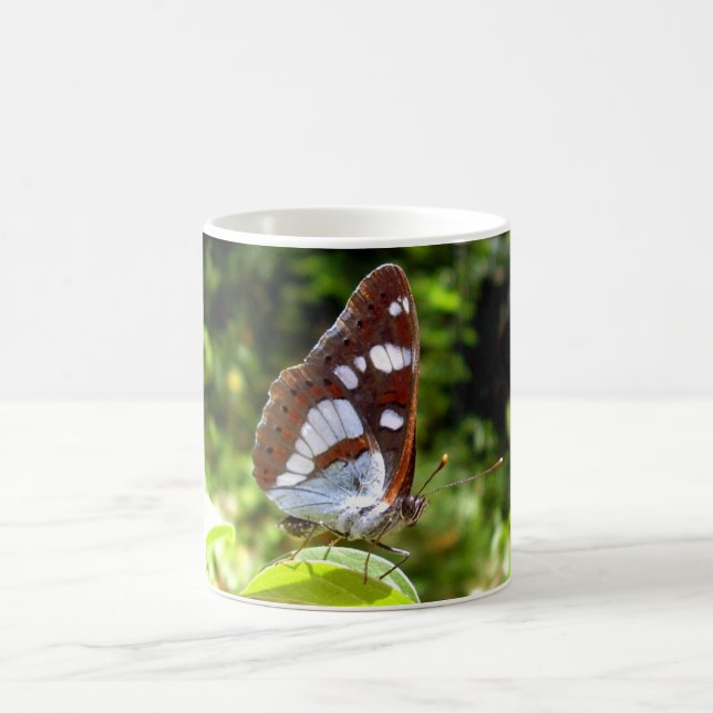 Sydvit amiral Butterfly Kryp Mugg (Center)