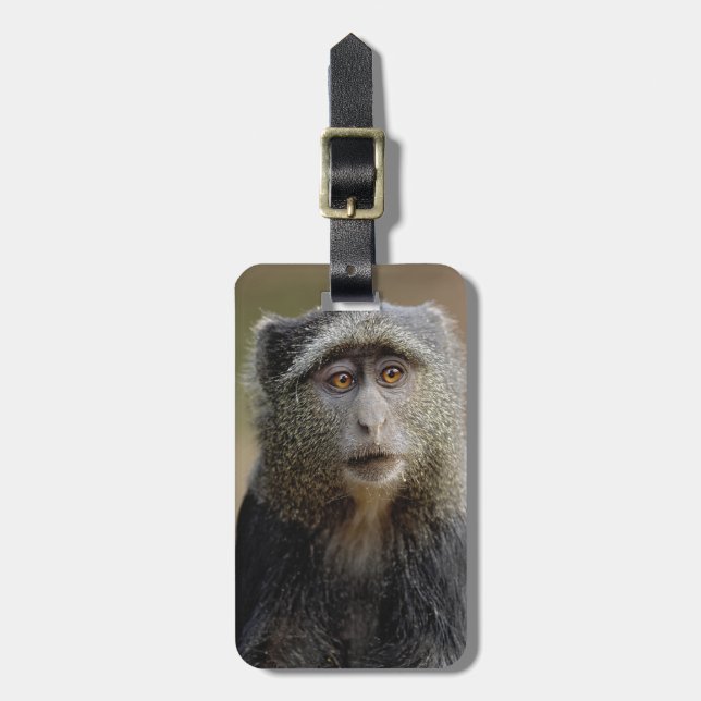 Sykes eller Blue Monkey, Cercopithecus mitis Bagagebricka (Vertikal Framsida)
