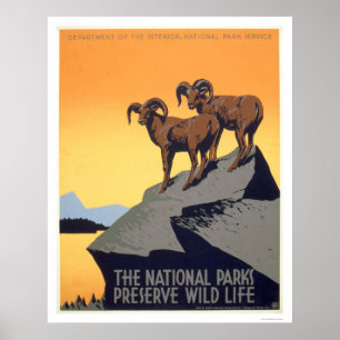 Syltvilda djur 1939 WPA Poster