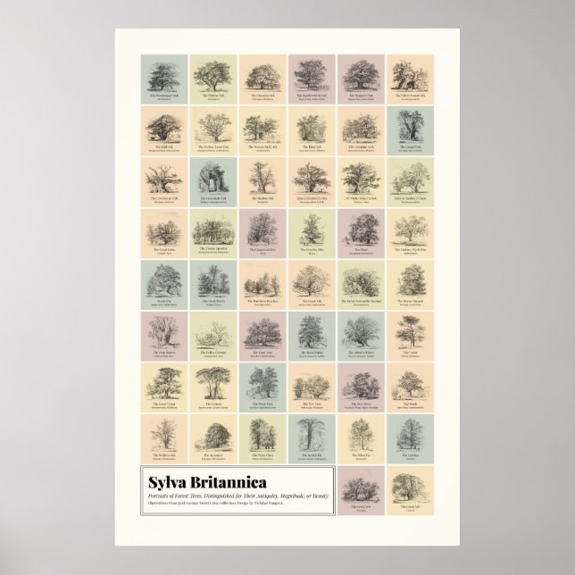 Sylva Britannica Poster (Framsidan)