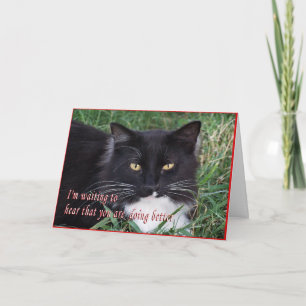 Sylvester-Get well-Adapze Kort