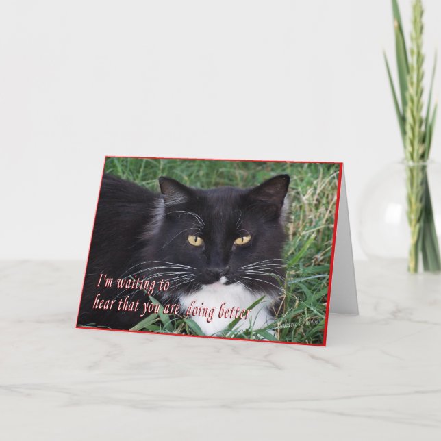 Sylvester-Get well-Adapze Kort (Framsida)