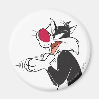 SYLVESTER™ Gnuvarande Klor Magnet