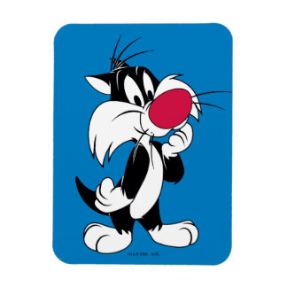 Sylvester Jr.| Klassisk dos Magnet