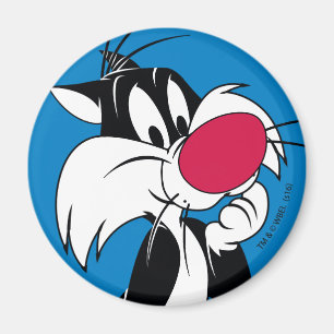 Sylvester Jr. Klassisk dos Magnet