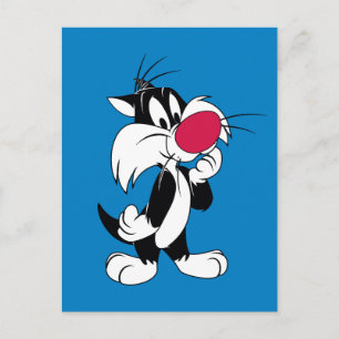 Sylvester Jr. Klassisk dos Vykort