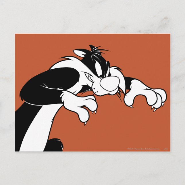 SYLVESTER™ Prowling Vykort (Framsida)