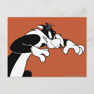 SYLVESTER™ Prowling Vykort