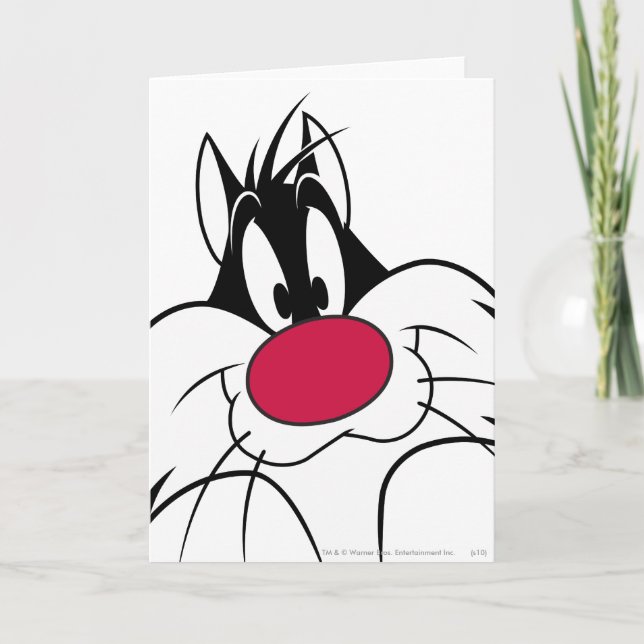 SYLVESTER™ Red Nose Ansikte Kort (Framsida)