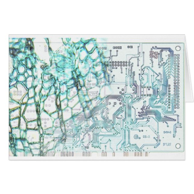 symbios - begrepp hälsningskort (Framsidan Horizontal)