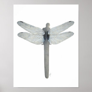Symbiossländaaffisch Poster