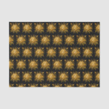 Symbol för Louis XIV Sol Kung