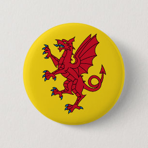 Symbol för Somerset Flagga Englands dragon Knapp
