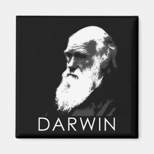 Symboler av vetenskap: Darwin Magnet