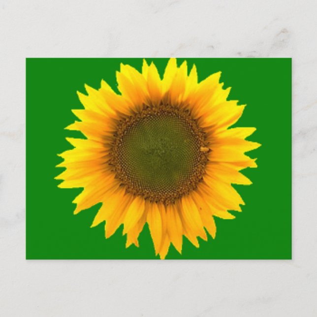 Symbolism med lätt vykort (Framsida)