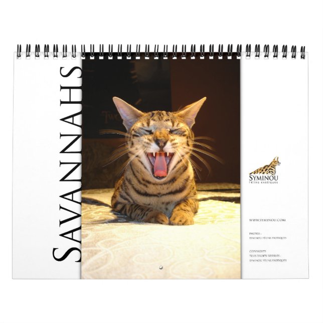 Syminou endar 2018 Savannah Cat Kalender (Omslag)