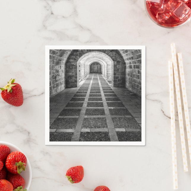 Symmetri i svartvitt pappersservett (Insitu)