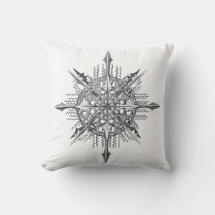 Symmetry by Ernst Haeckel Kudde