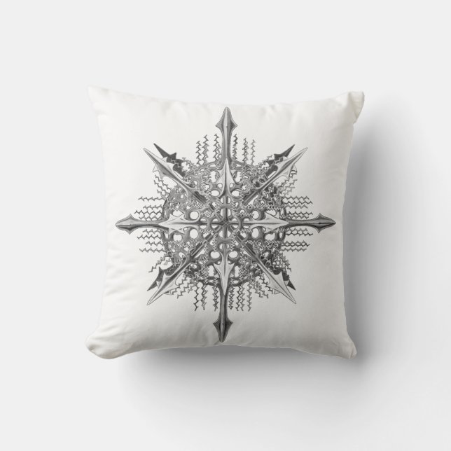 Symmetry by Ernst Haeckel Kudde (Framsida)
