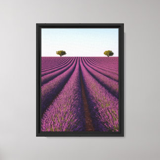Symmetry Lavender Fält Väg Canvastryck
