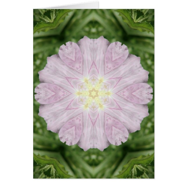 Symmetry vin Kopp OBS Kort (Framsidan)