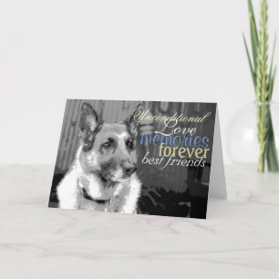 Sympatförlust av ett sällskapsdjur kort