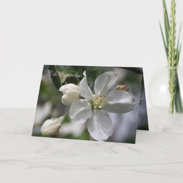 Sympathy Apple Blommar Card Tack Kort (Framsida)