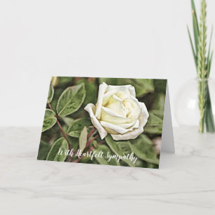 Sympathy Card för målat Vit ros Kort