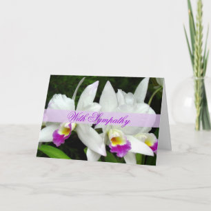 Sympathy Card för snyggt Orchids Kort