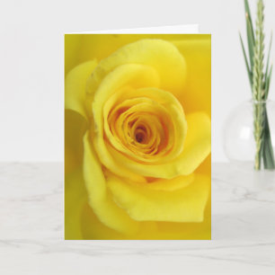 Sympathy Card Gul ros Kort